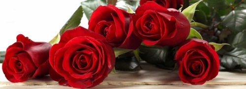 160714 ramo de rosas rojas 2